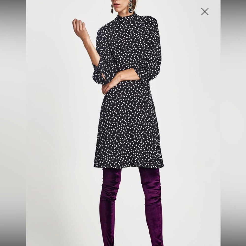 Zara Polka Dot Black and White Dress